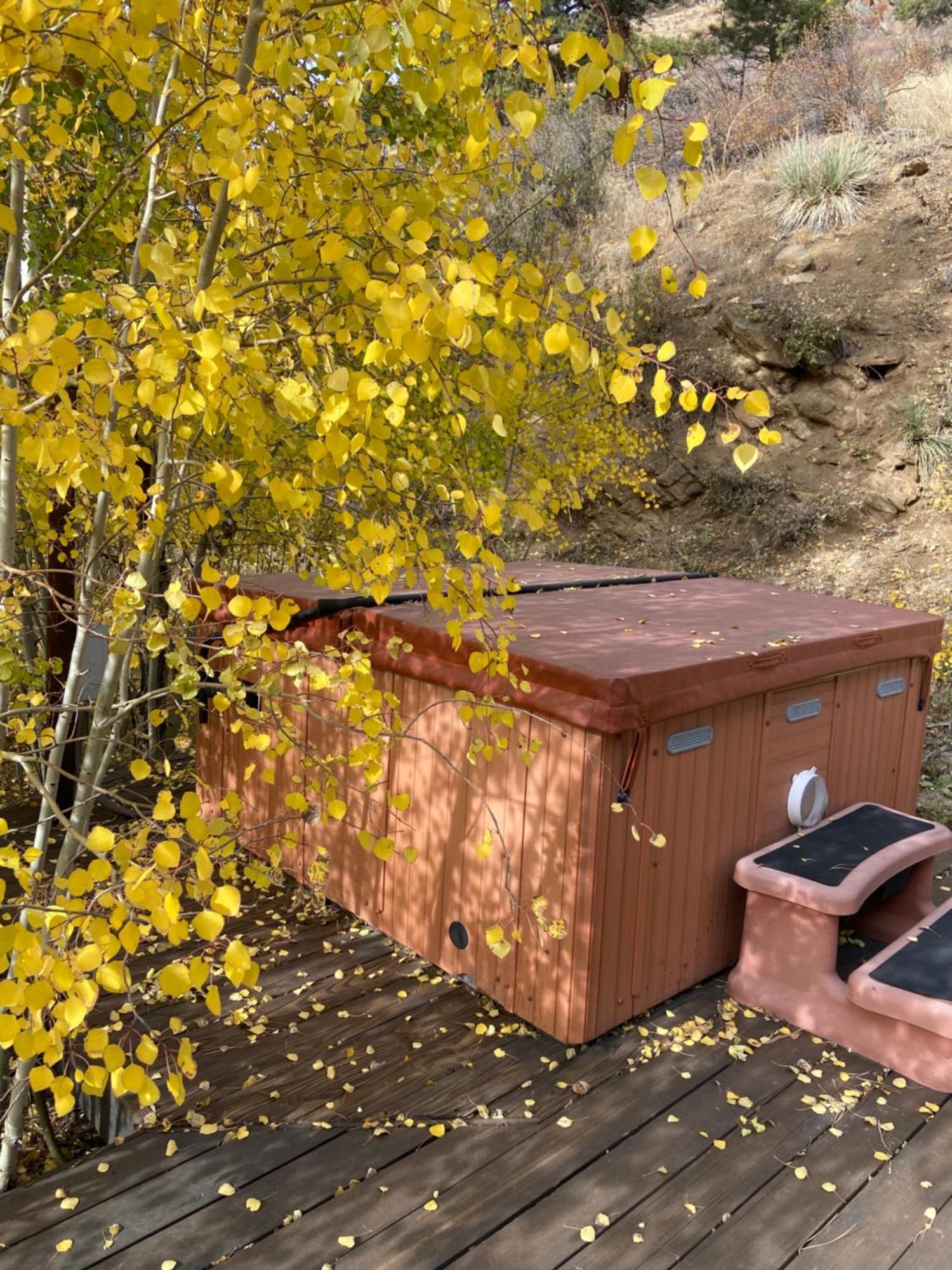 Colorado Bed & Breakfast With Beautiful Views Evergreen Exterior photo